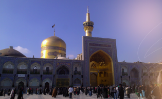 الاكثر تفاعلاً